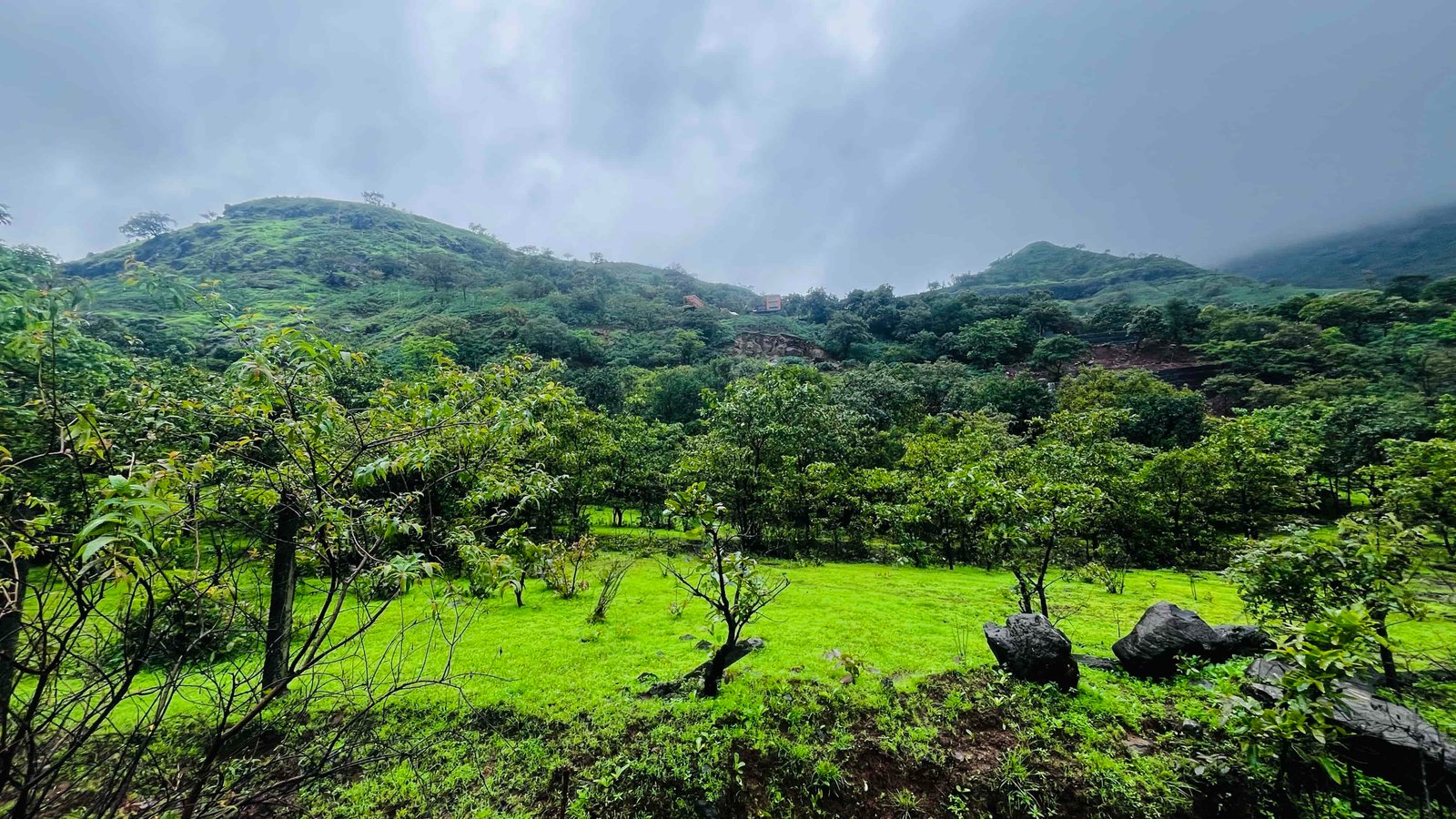 Royal View Farms Mulshi Gated Farmland